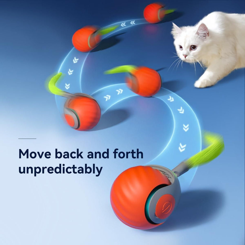 TailRush™ Pet Toy Ball
