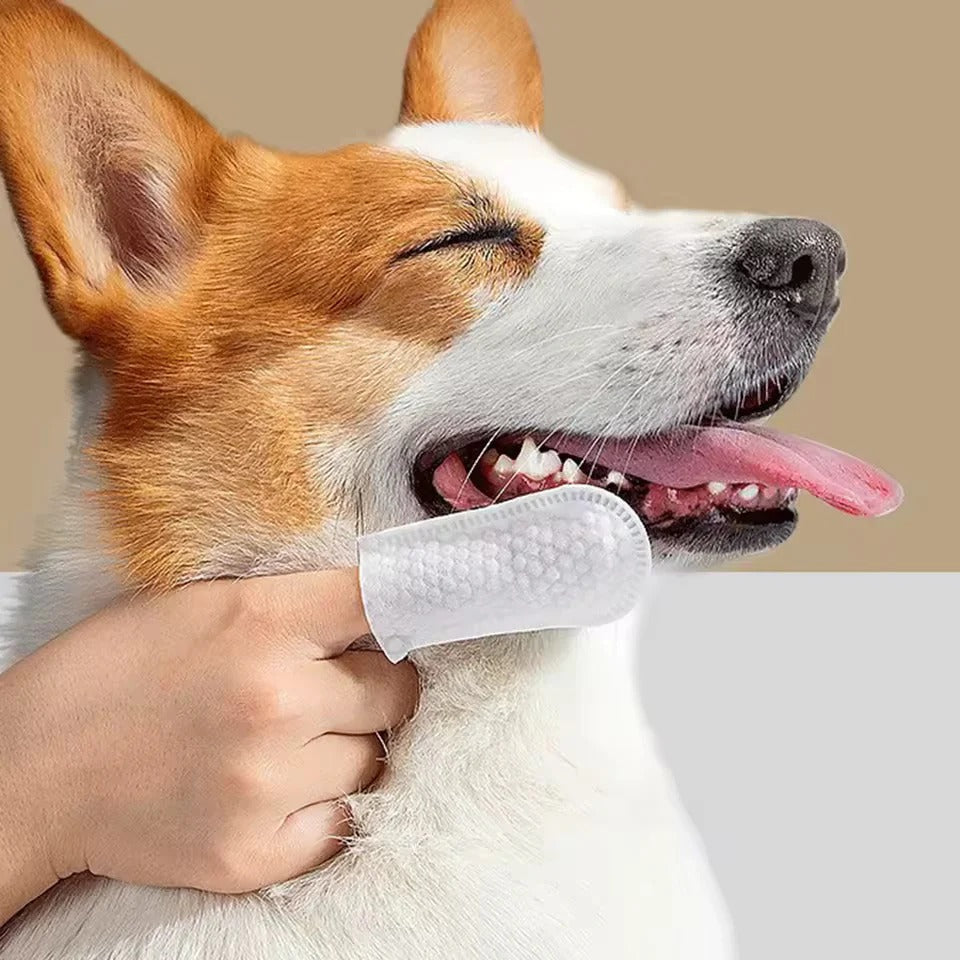 Natural Pet Dental Finger Wipes