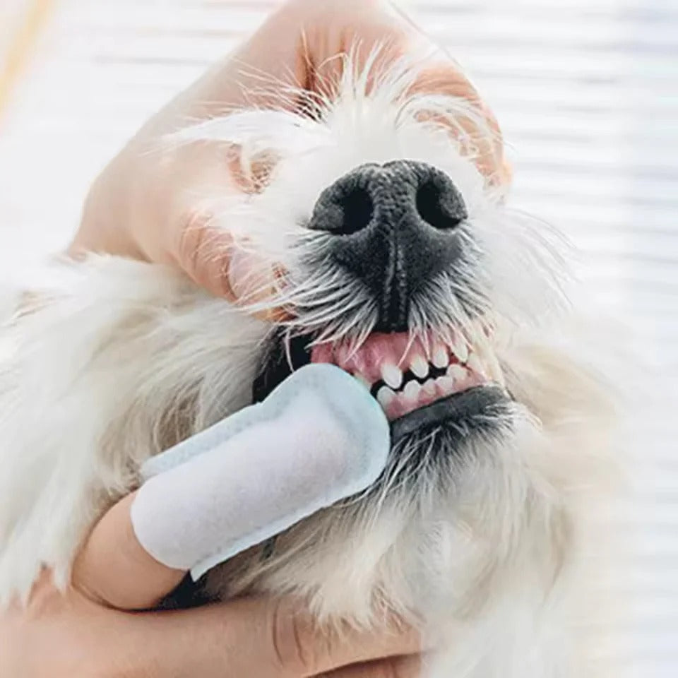 Natural Pet Dental Finger Wipes