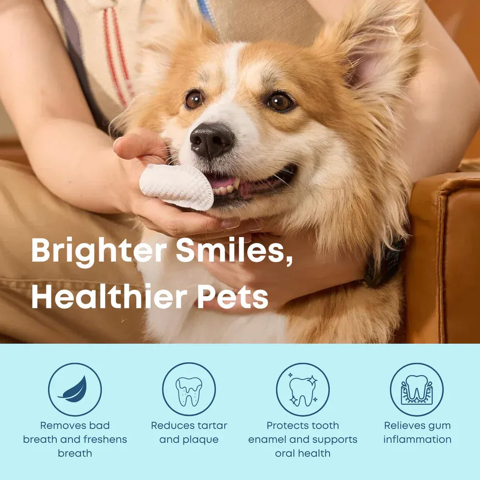 Natural Pet Dental Finger Wipes